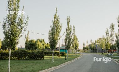 Terreno Soldini , Barrio Abierto Los Viñedos