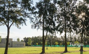 Terreno Soldini , Barrio Abierto Los Viñedos