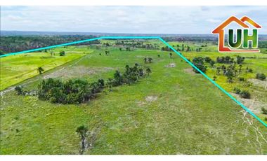 VENTA TERRENO RURAL - CAMPO VERDE - AT 33 HA 1,696 M2