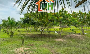 VENTA TERRENO RURAL - CAMPO VERDE - AT 33 HA 1,696 M2