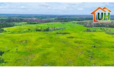 VENTA TERRENO RURAL - CAMPO VERDE - AT 33 HA 1,696 M2