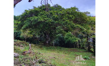 TERRENO EN CHIC - CAMPANA EN VENTA
