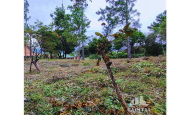 TERRENO EN CHIC - CAMPANA EN VENTA