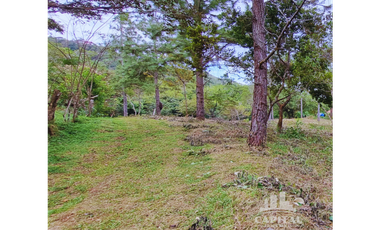 TERRENO EN CHIC - CAMPANA EN VENTA
