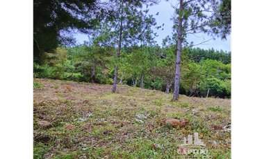 TERRENO EN CHIC - CAMPANA EN VENTA