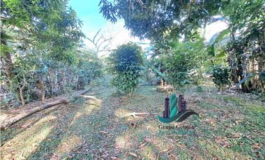 VENDO CASA 1HAB. CON LOTE DE 800MTS DOLEGA