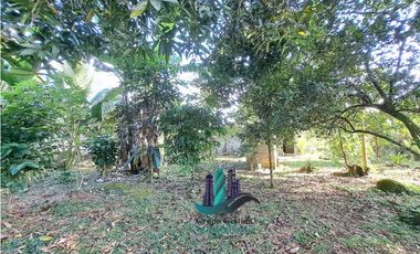 VENDO CASA 1HAB. CON LOTE DE 800MTS DOLEGA