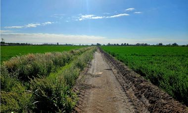 VENTA FINCA 20 HECTAREAS APTO PISTACHOS ALTOS DEL OLVIDO MENDOZA