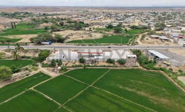 SE VENDE GRIFO EN FUNCIONAMIENTO