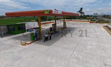 SE VENDE GRIFO EN FUNCIONAMIENTO