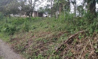 RANCHO EN VENTA OCOZOCOAUTLA CHIAPAS