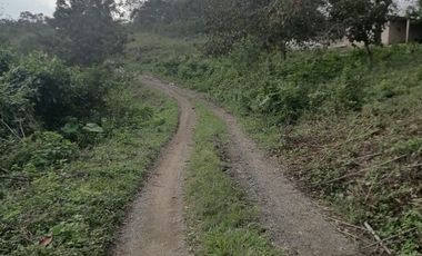 RANCHO EN VENTA OCOZOCOAUTLA CHIAPAS