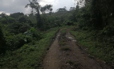 RANCHO EN VENTA OCOZOCOAUTLA CHIAPAS