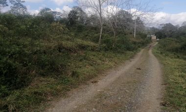 RANCHO EN VENTA OCOZOCOAUTLA CHIAPAS