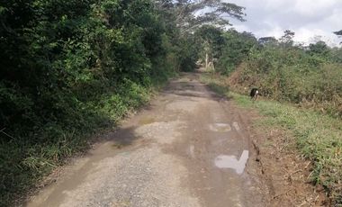 RANCHO EN VENTA OCOZOCOAUTLA CHIAPAS