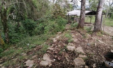 RANCHO EN VENTA OCOZOCOAUTLA CHIAPAS
