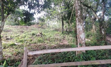 RANCHO EN VENTA OCOZOCOAUTLA CHIAPAS