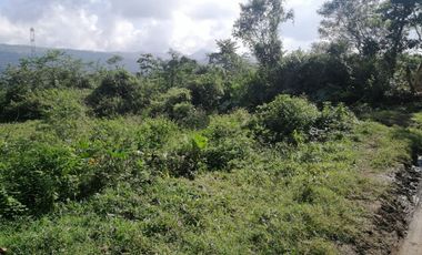 RANCHO EN VENTA OCOZOCOAUTLA CHIAPAS