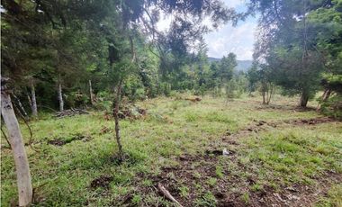 Finca en Caldas la miel Fácil Acceso