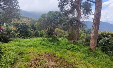 Finca en Caldas la miel Fácil Acceso