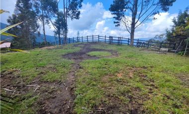 Finca en Caldas la miel Fácil Acceso