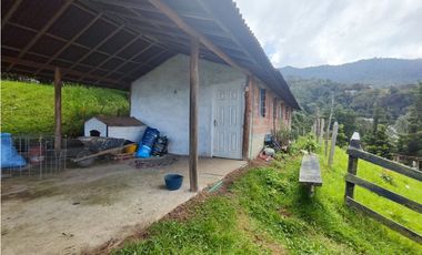 Finca en Caldas la miel Fácil Acceso