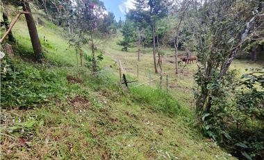 Finca en Caldas la miel Fácil Acceso