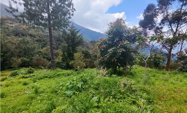 Finca en Caldas la miel Fácil Acceso