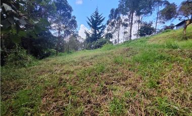 Finca en Caldas la miel Fácil Acceso