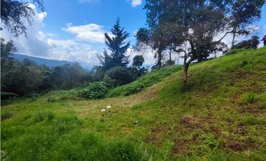 Finca en Caldas la miel Fácil Acceso