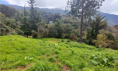 Finca en Caldas la miel Fácil Acceso