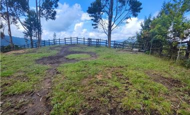 Finca en Caldas la miel Fácil Acceso