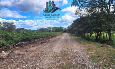 VENDO FINCA DE 25 HECTAREAS EL FRANCES ARRIBA