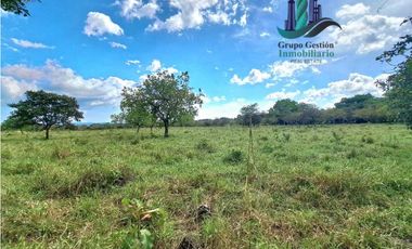 VENDO FINCA DE 25 HECTAREAS EL FRANCES ARRIBA