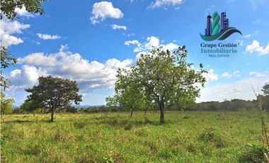 VENDO FINCA DE 25 HECTAREAS EL FRANCES ARRIBA