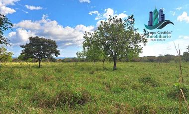 VENDO FINCA DE 25 HECTAREAS EL FRANCES ARRIBA