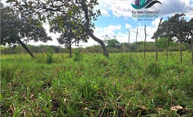 VENDO FINCA DE 25 HECTAREAS EL FRANCES ARRIBA