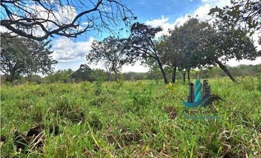 VENDO FINCA DE 25 HECTAREAS EL FRANCES ARRIBA