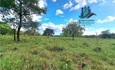 VENDO FINCA DE 25 HECTAREAS EL FRANCES ARRIBA