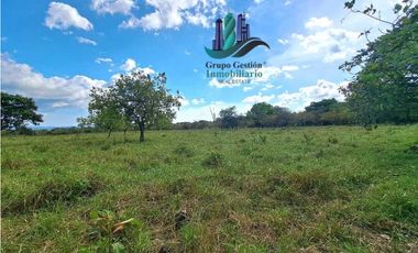 VENDO FINCA DE 25 HECTAREAS EL FRANCES ARRIBA