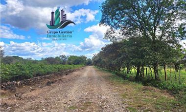VENDO FINCA DE 25 HECTAREAS EL FRANCES ARRIBA