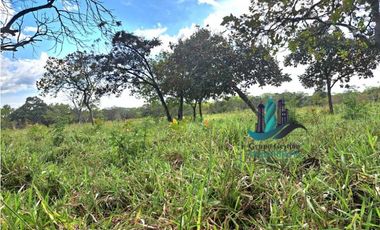 VENDO FINCA DE 25 HECTAREAS EL FRANCES ARRIBA