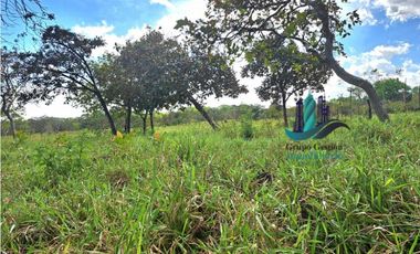 VENDO FINCA DE 25 HECTAREAS EL FRANCES ARRIBA