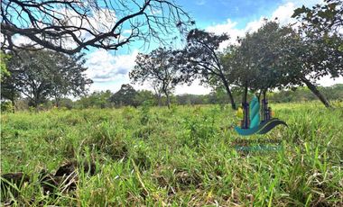 VENDO FINCA DE 25 HECTAREAS EL FRANCES ARRIBA