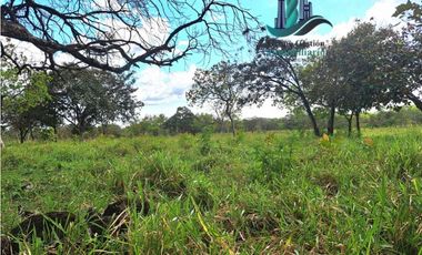 VENDO FINCA DE 25 HECTAREAS EL FRANCES ARRIBA