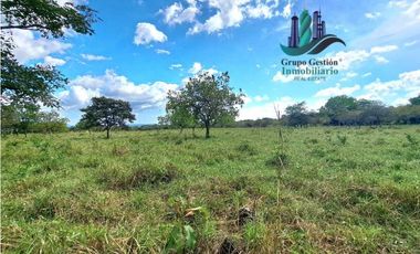 VENDO FINCA DE 25 HECTAREAS EL FRANCES ARRIBA