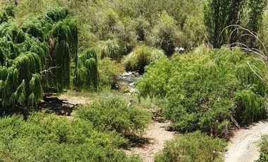 Parcela en venta en VICUÑA