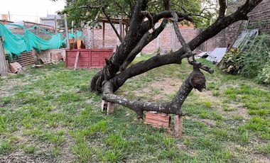 Casa 4 Amb. En Venta Oportunidad - Libertad, Merlo