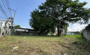 Land for sale in Nong Han, Chiang Mai
