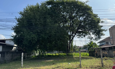 Land for sale in Nong Han, Chiang Mai